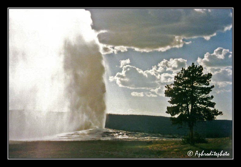 24 USA   Yellowstone NP, Old Faithful